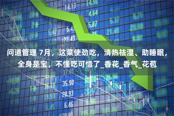 问道管理 7月，这菜使劲吃，清热祛湿、助睡眠，全身是宝，不懂吃可惜了_香花_香气_花苞