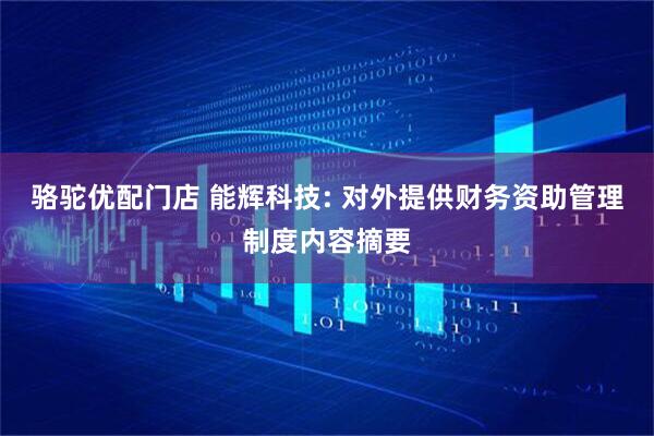 骆驼优配门店 能辉科技: 对外提供财务资助管理制度内容摘要