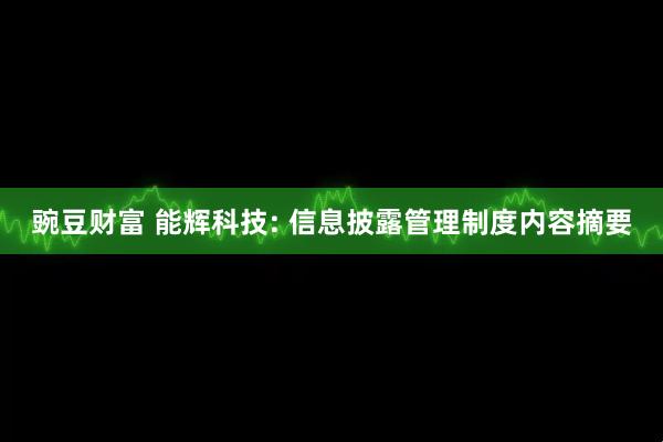 豌豆财富 能辉科技: 信息披露管理制度内容摘要