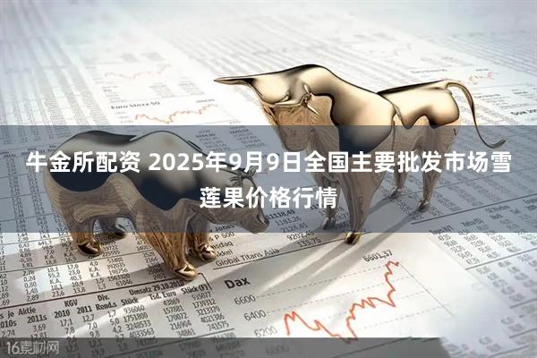 牛金所配资 2025年9月9日全国主要批发市场雪莲果价格行情