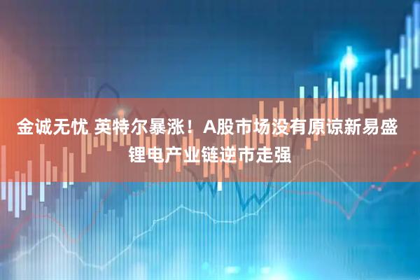 金诚无忧 英特尔暴涨!A股市场没有原谅新易盛 锂电产业链逆市走强